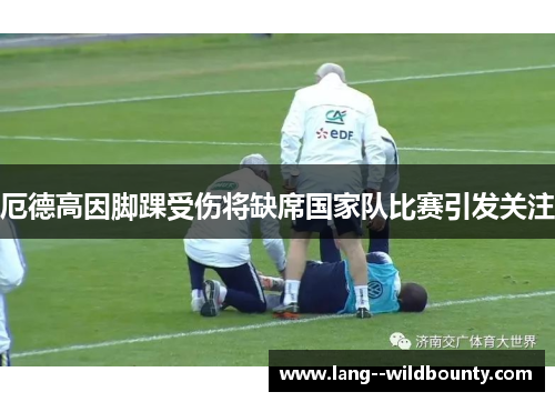 厄德高因脚踝受伤将缺席国家队比赛引发关注