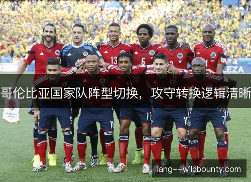 哥伦比亚国家队阵型切换，攻守转换逻辑清晰